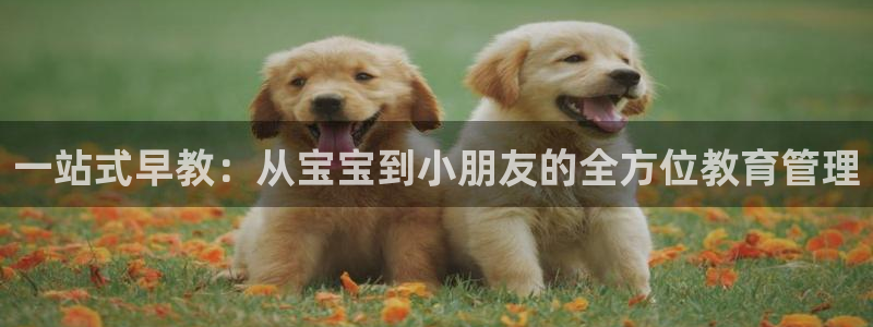 威九国际电影2022年9月月：一站式早教：从宝宝到小朋友的全方位教育管理