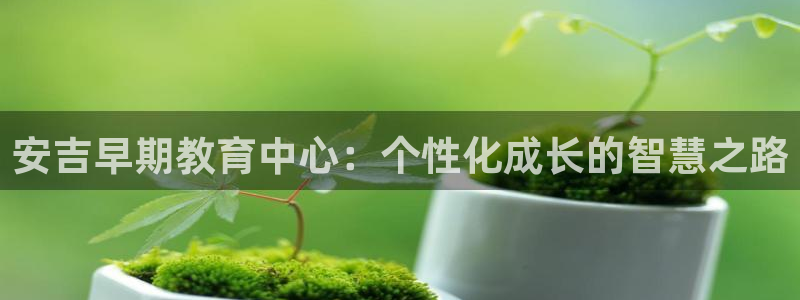 威九国际66视频：安吉早期教育中心：个性化成长的智慧之路