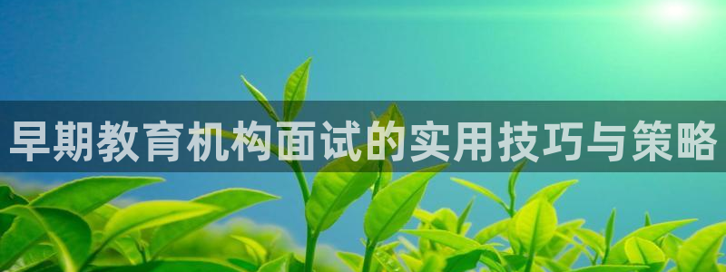 威九国际软件：早期教育机构面试的实用技巧与策略