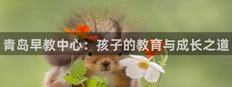 威九国际fX8x：青岛早教中心：孩子的教育与成长之道