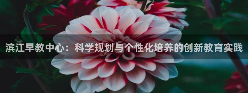 威九国际78mb42- MBA中文：滨江早教中心：科学规划与个性化培养的创新教育