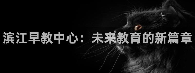 保定威九网络科技有限公司电话：滨江早教中心：未来教育的新篇章
