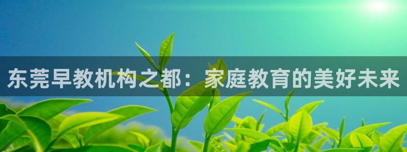 威九国际网站经常打不开网页：东莞早教机构之都：家庭教育的美好未来