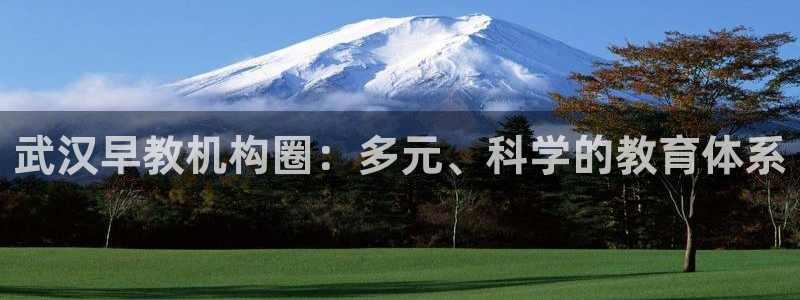 78mppt威九国际：武汉早教机构圈：多元、科学的教育体系