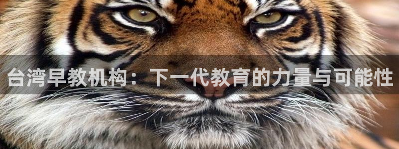 威九国际电子游戏：台湾早教机构：下一代教育的力量与可能性
