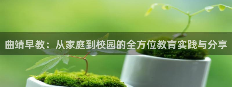 威九国际78mob官网版：曲靖早教：从家庭到校园的全方位教育实践与分享