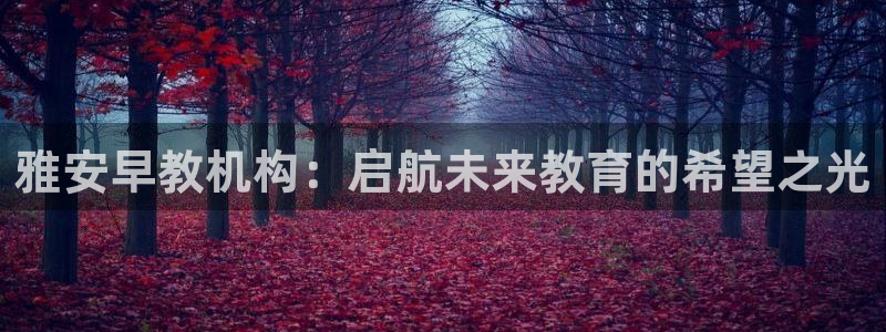 威九国际可以退钱吗怎么退：雅安早教机构：启航未来教育的希望之光