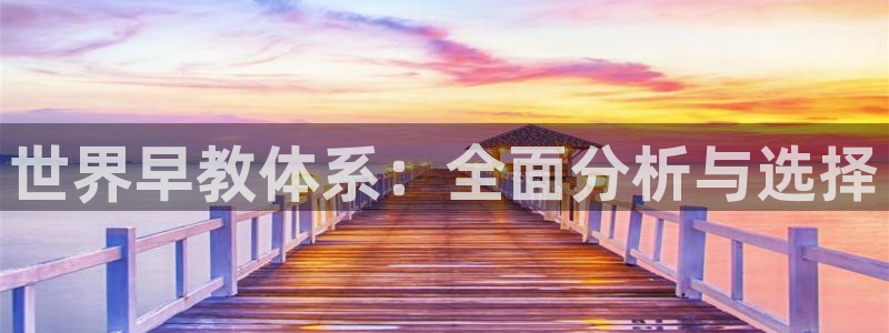 威九国际网站进入公司不断创新：世界早教体系：全面分析与选择