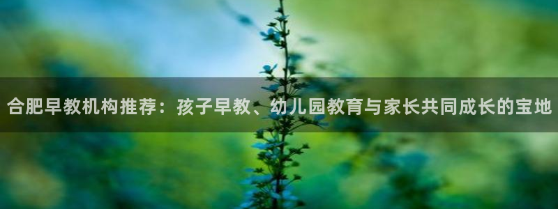 威九国际网站进入客服中心了吗：合肥早教机构推荐：孩子早教、幼儿园教育与家长共同成
