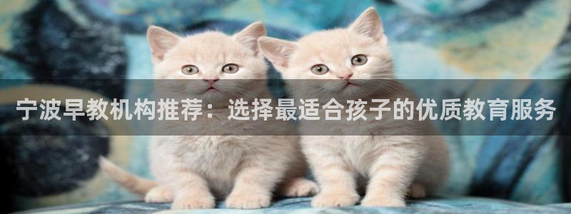 威九国际网站进入产品中心怎么进：宁波早教机构推荐：选择最适合孩子的优质教育服务