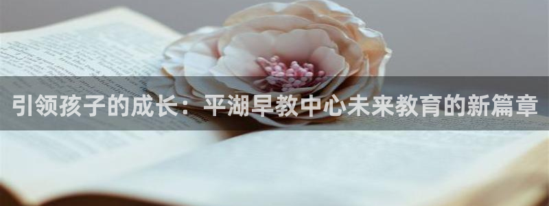 威九国际官网登录入口网站：引领孩子的成长：平湖早教中心未来教育的新篇章
