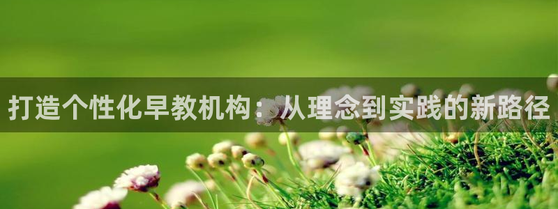 威九国际网站是多少：打造个性化早教机构：从理念到实践的新路径