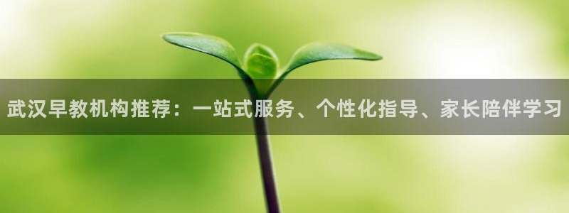 威九国际66m66大陆：武汉早教机构推荐：一站式服务、个性化指导、家长陪伴学习