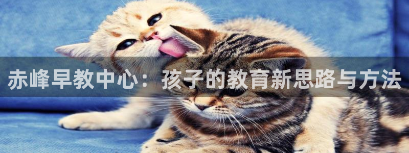 威九国际演员名单：赤峰早教中心：孩子的教育新思路与方法