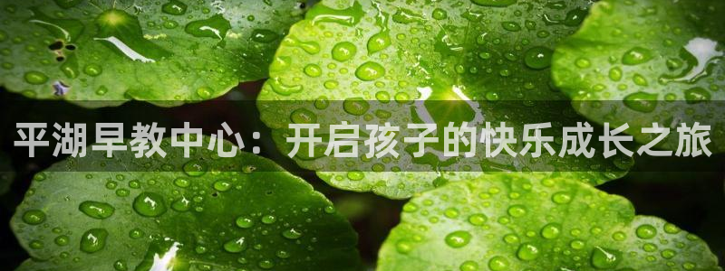 威九国际网站更新：平湖早教中心：开启孩子的快乐成长之旅