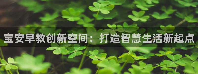 保定威九网络科技有限公司是干嘛的：宝安早教创新空间：打造智慧生活新起点