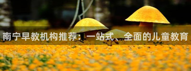 威九国际app哪个地方：南宁早教机构推荐：一站式、全面的儿童教育