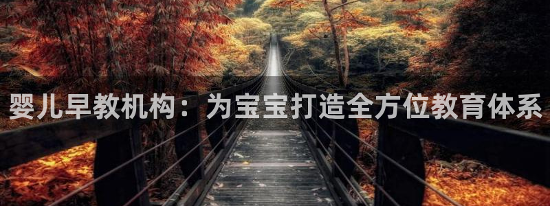 威九国际v96bet官网版：婴儿早教机构：为宝宝打造全方位教育体系