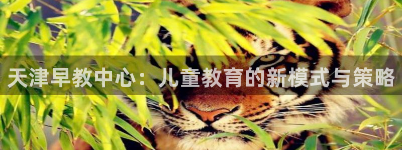 78mapp威九国际官网：天津早教中心：儿童教育的新模式与策略