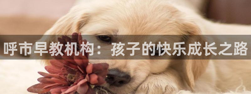威九国际后爸：呼市早教机构：孩子的快乐成长之路