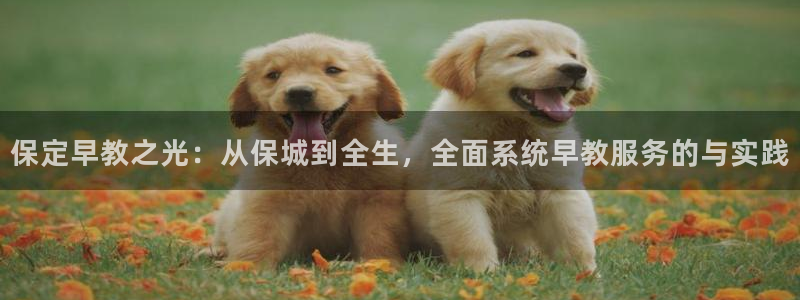 威九国际官方下载：保定早教之光：从保城到全生，全面系统早教服务的与实践