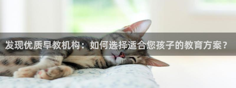 威九国际网站客服电话多少啊：发现优质早教机构：如何选择适合您孩子的教育方案？