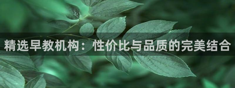 威九国际官网登录入口网址：精选早教机构：性价比与品质的完美结合