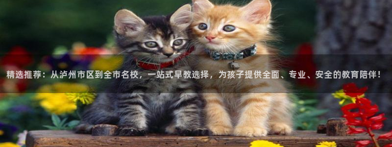 威九国际v96242cc官网版：精选推荐：从泸州市区到全市名校，一站式早教选择，