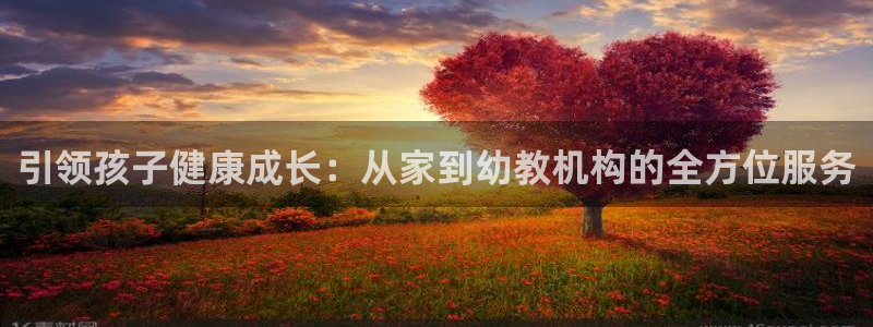 威九国际小说：引领孩子健康成长：从家到幼教机构的全方位服务