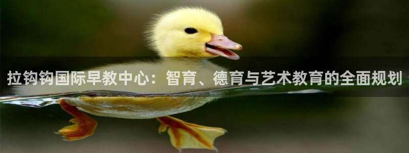 威九国际提款不出来：拉钩钩国际早教中心：智育、德育与艺术教育的全面规划
