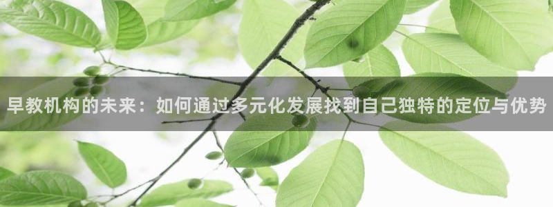 威九国际理论片最经典十首歌曲：早教机构的未来：如何通过多元化发展找到自己独特的定
