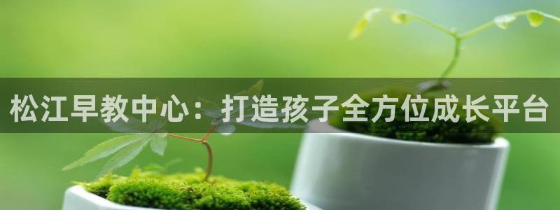 威九国际提款不出来:松江早教中心:打造孩子全方位成长平台